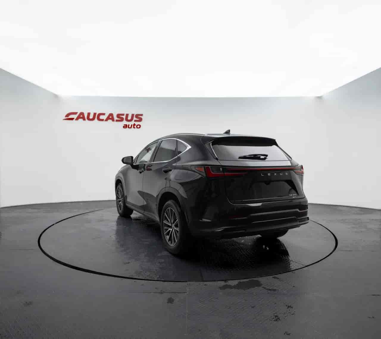 LEXUS NX - 6