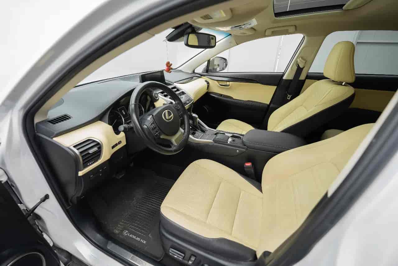 LEXUS NX 300 - 10