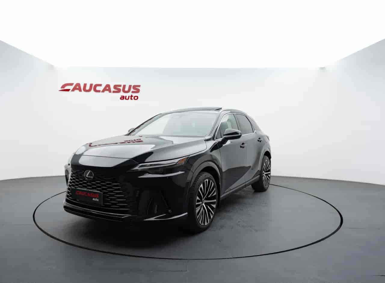 LEXUS RX - 1