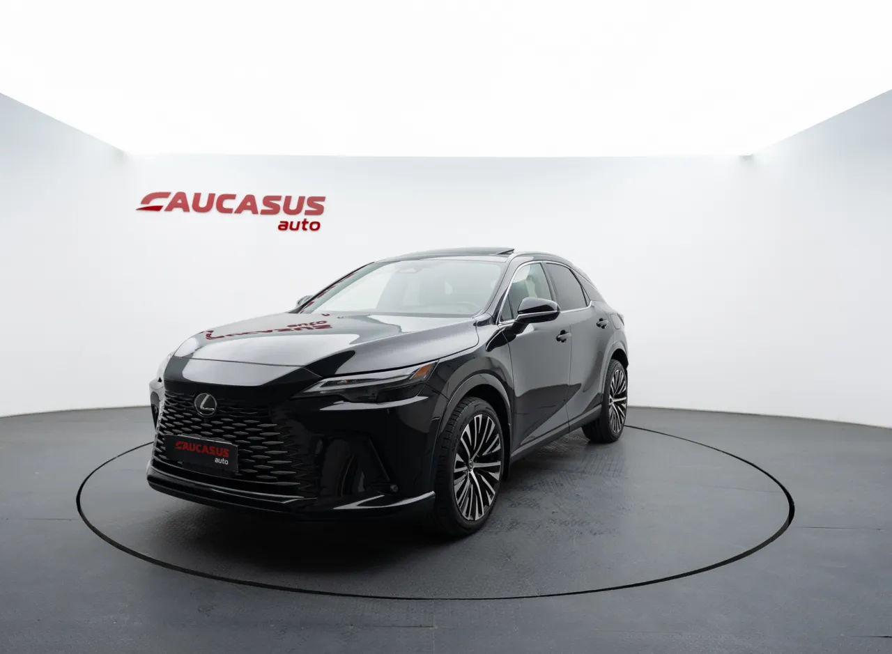 2024 LEXUS RX