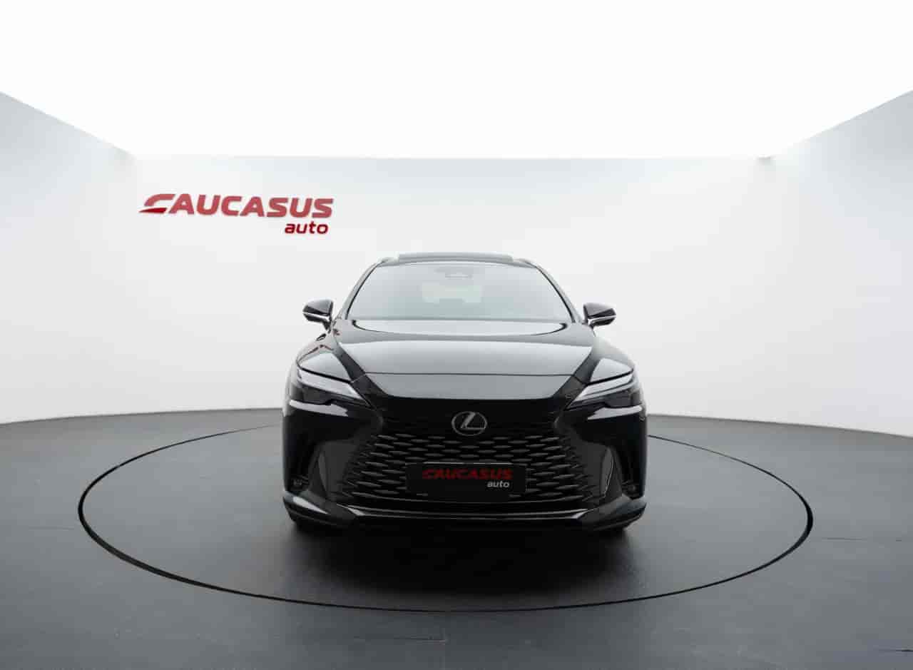 LEXUS RX - 2