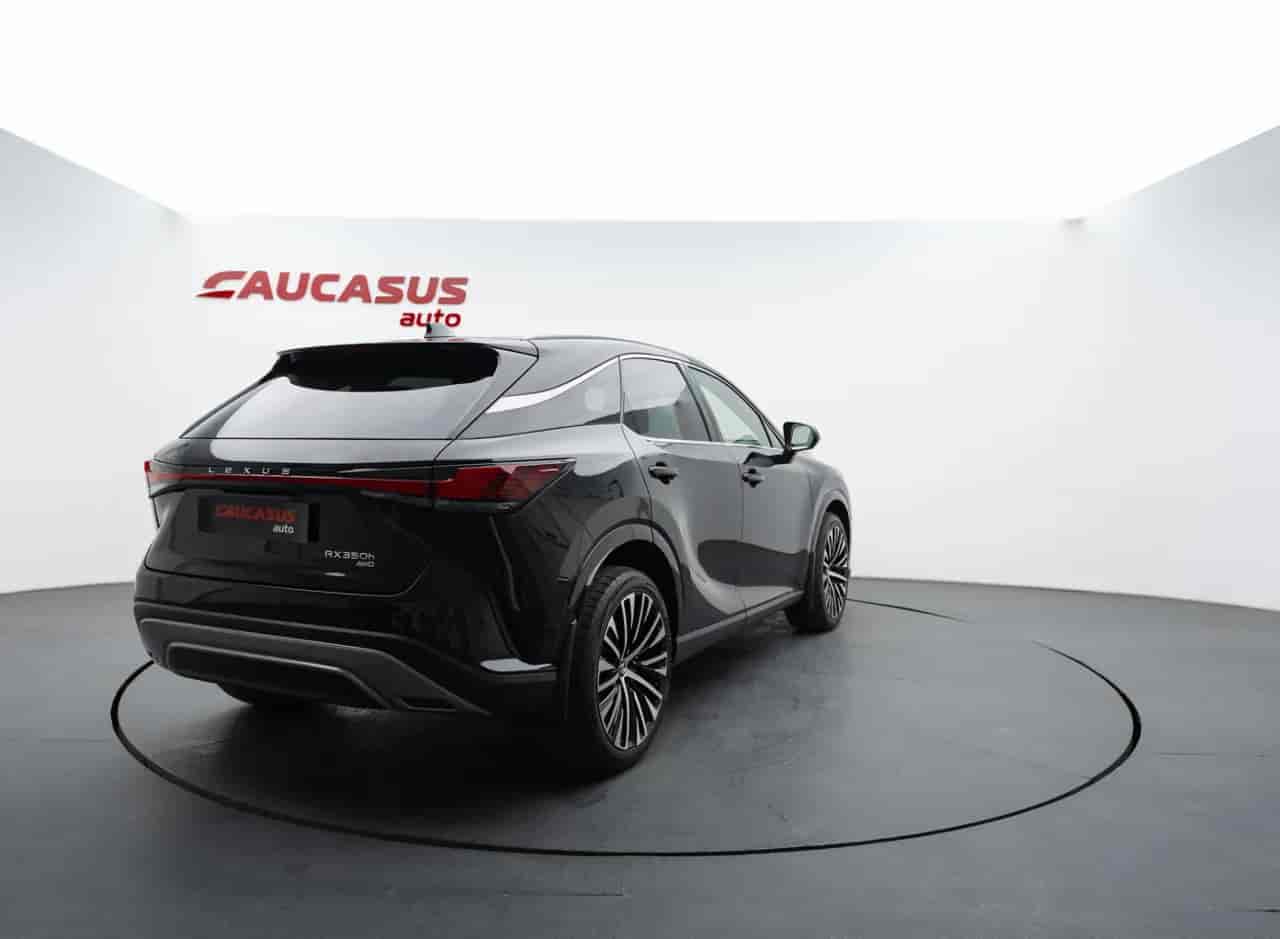LEXUS RX - 4