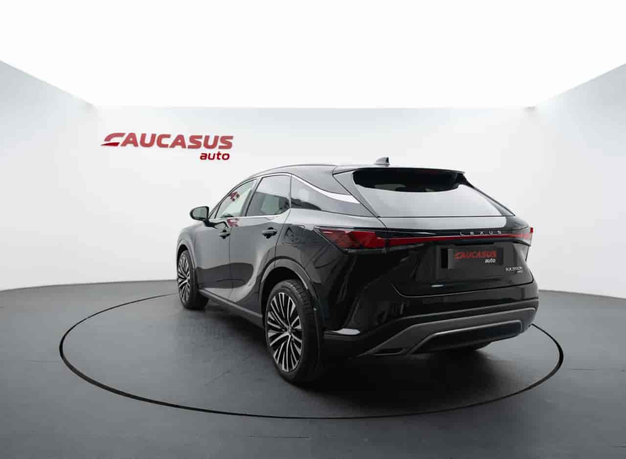 LEXUS RX - 6
