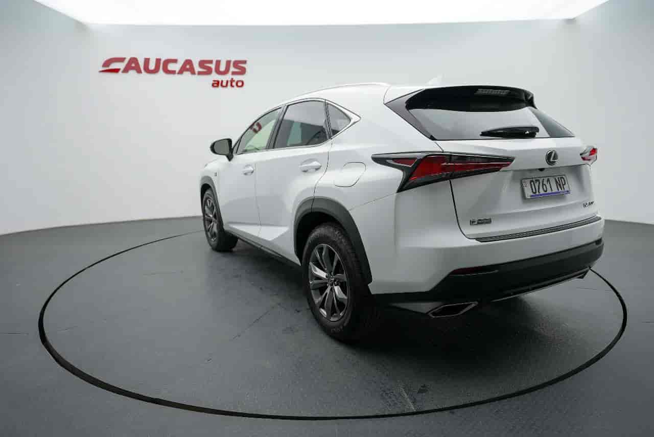LEXUS NX - 6