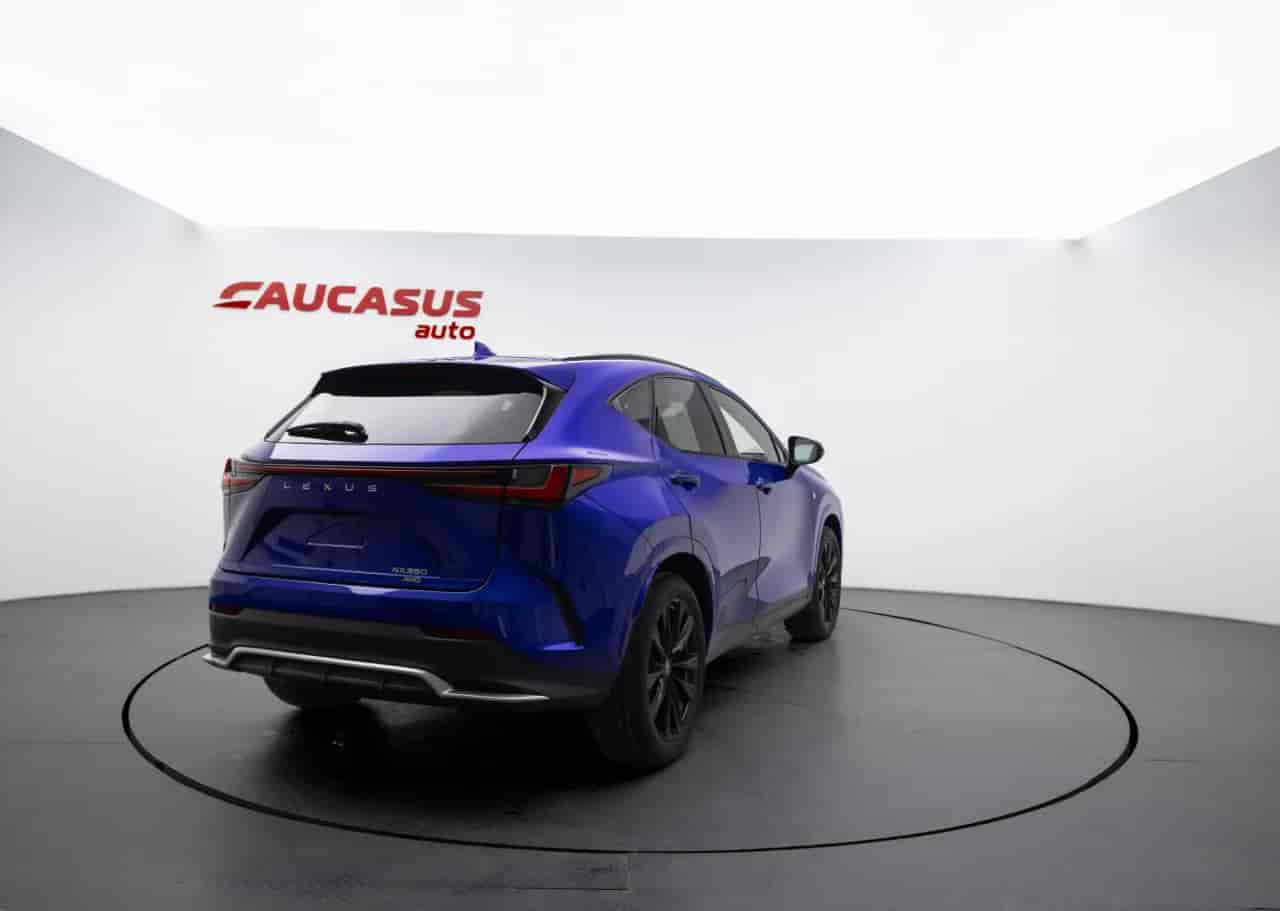 LEXUS NX - 4