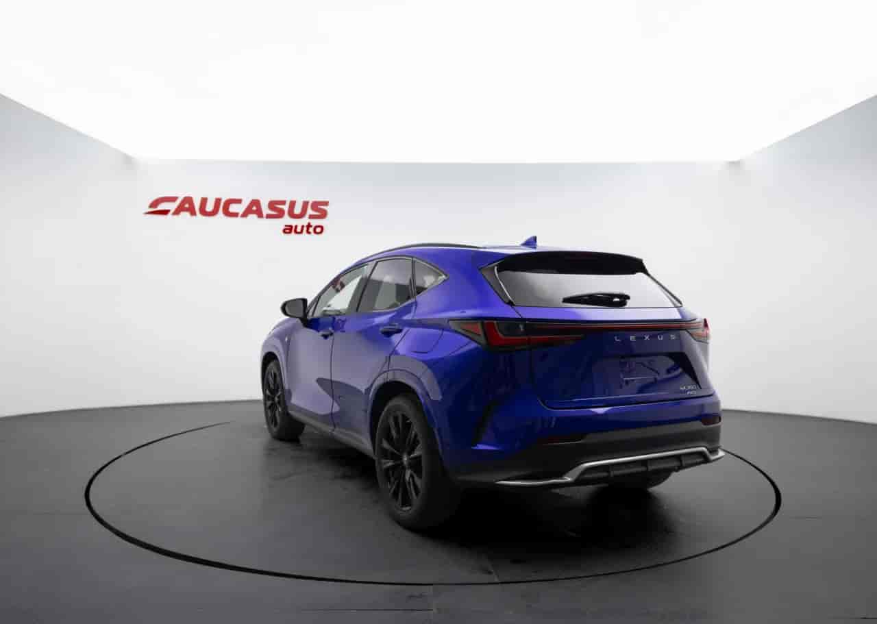 LEXUS NX - 6