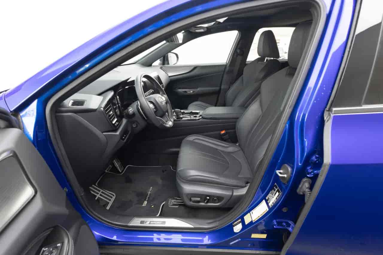 LEXUS NX - 10