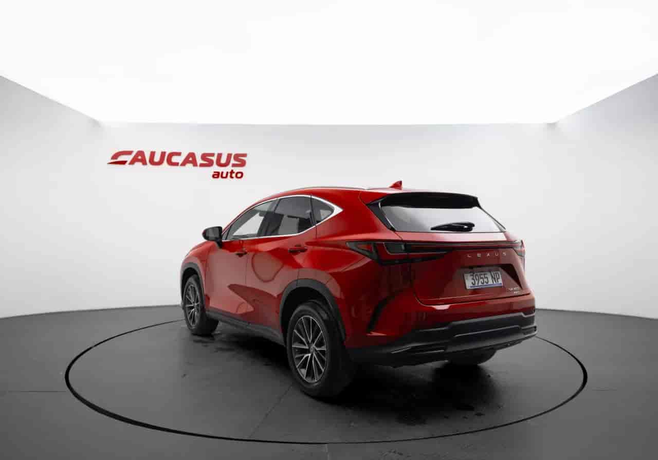 LEXUS NX - 6