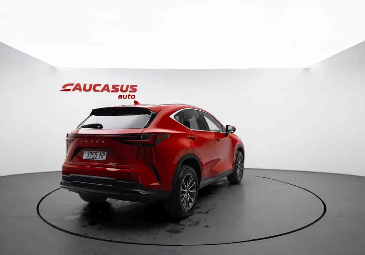 LEXUS NX - 4