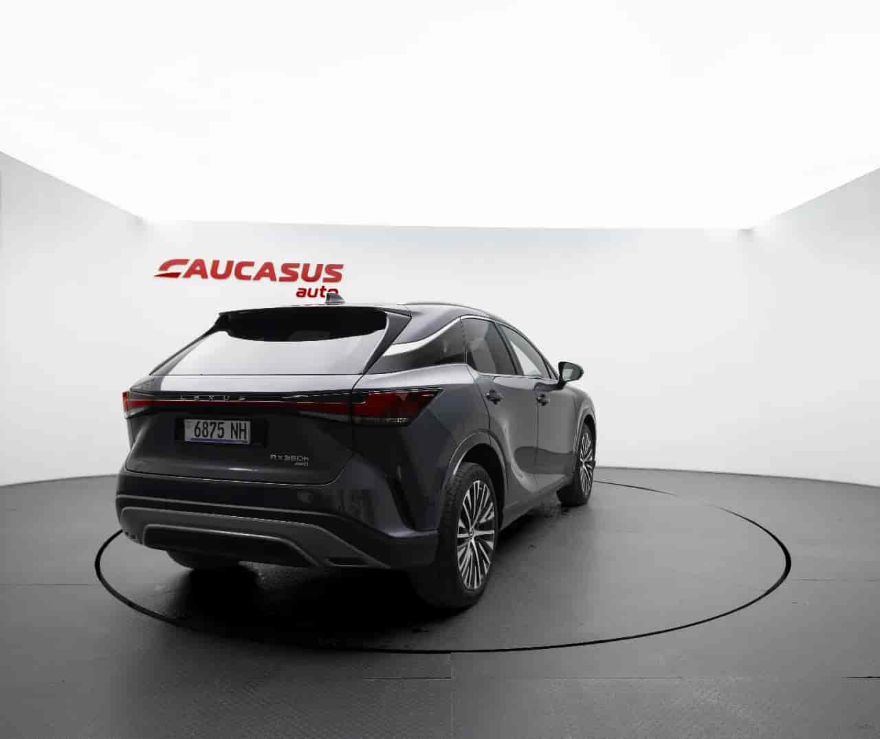 LEXUS RX - 4