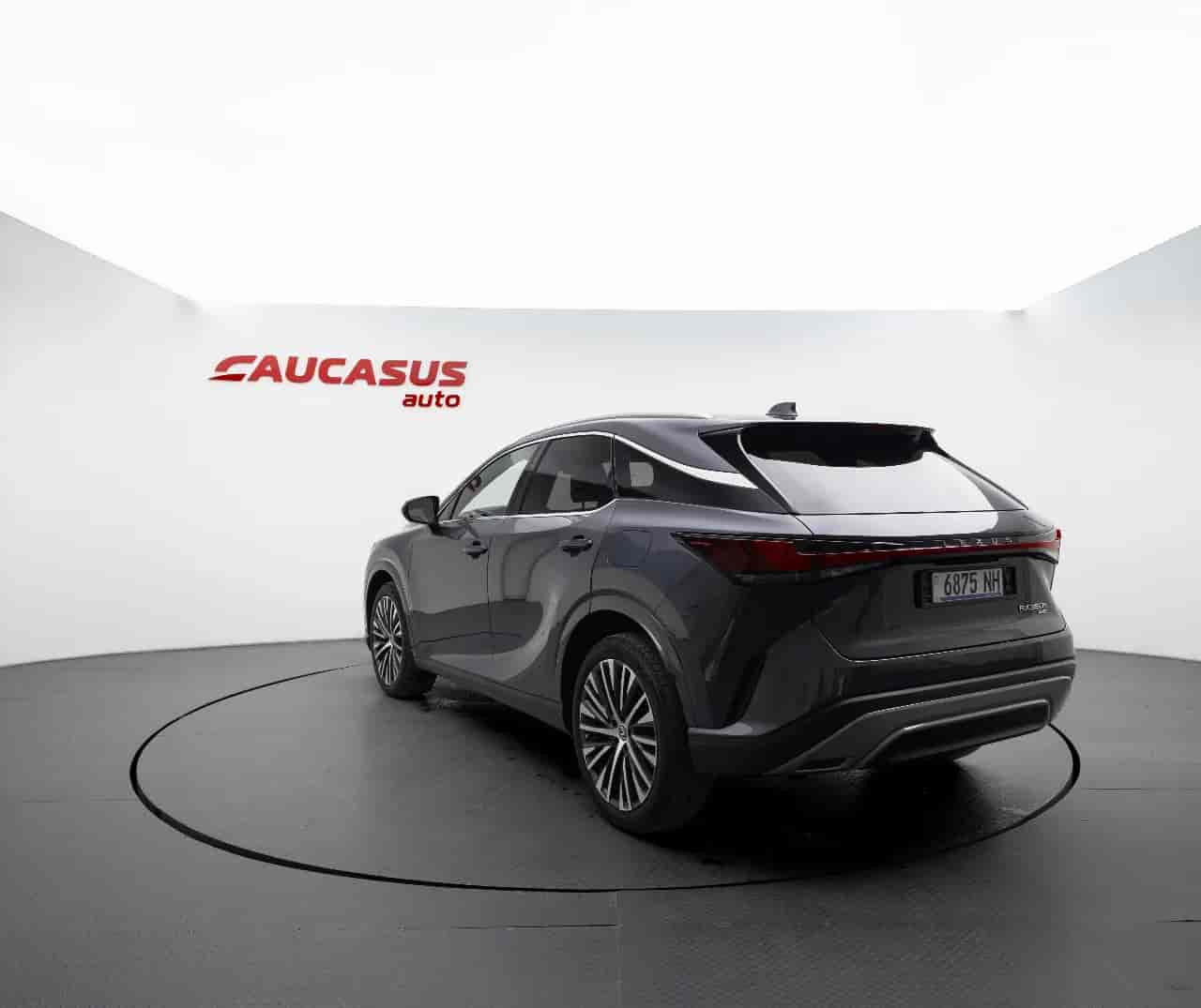 LEXUS RX - 6