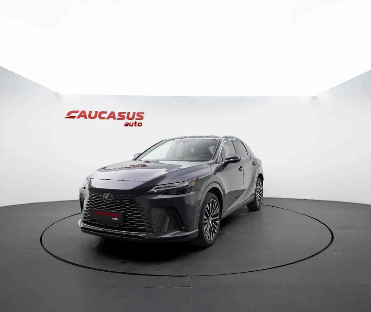 LEXUS RX - 1
