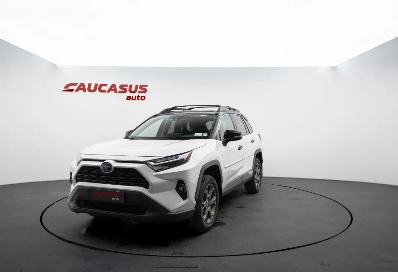 2024 TOYOTA RAV4