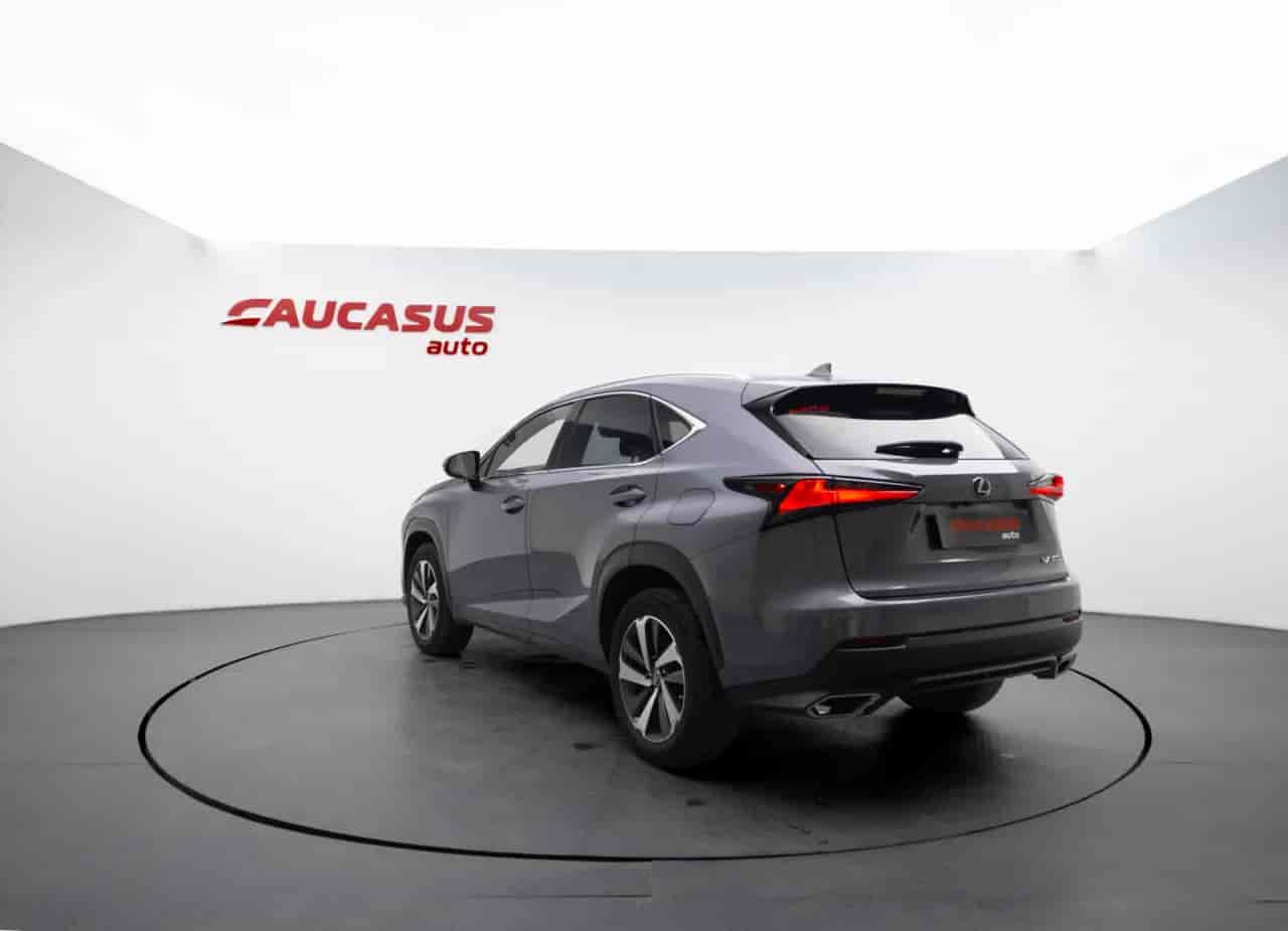 LEXUS NX - 6