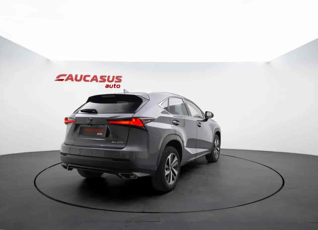 LEXUS NX - 4