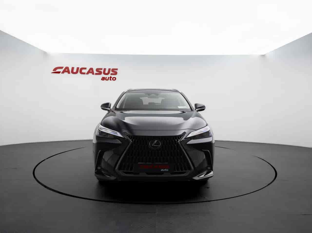LEXUS NX - 2