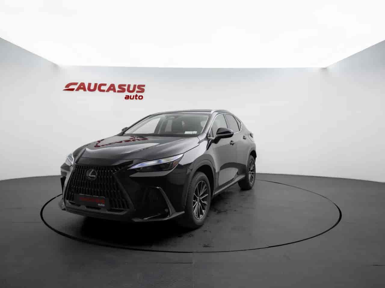LEXUS NX - 1