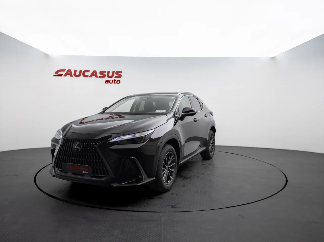 2025 LEXUS NX