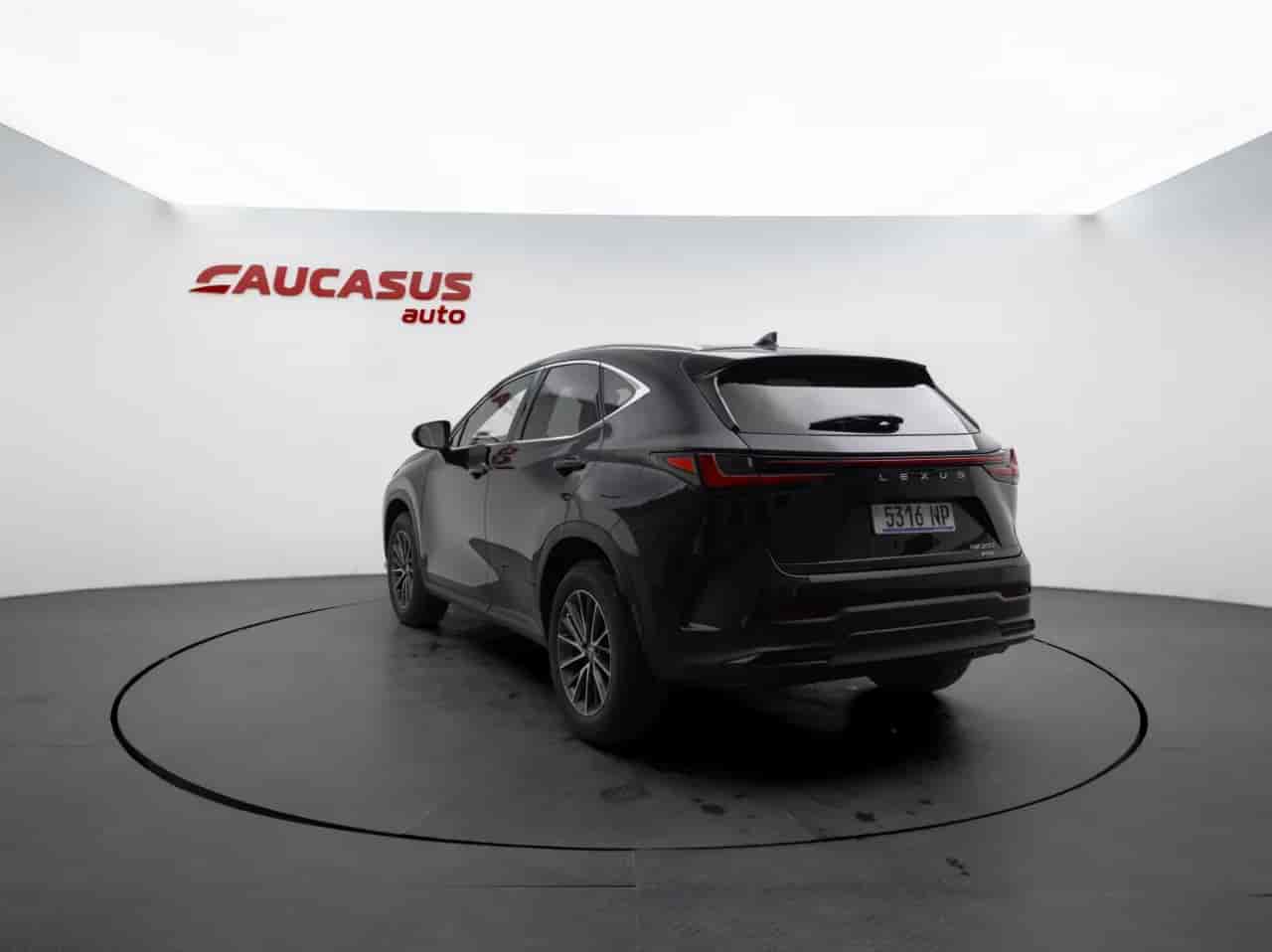 LEXUS NX - 6
