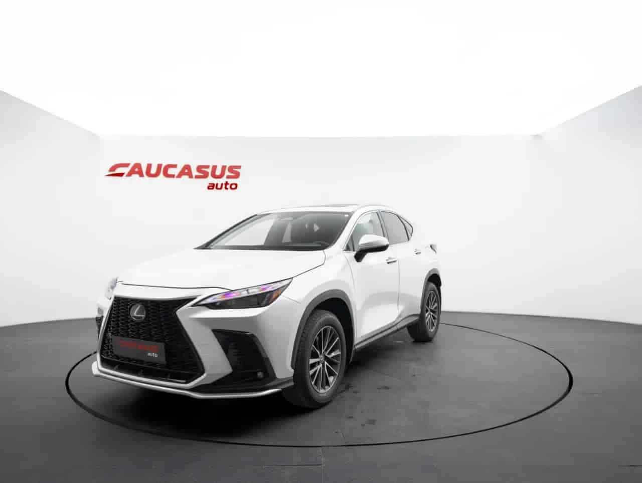 LEXUS NX - 1