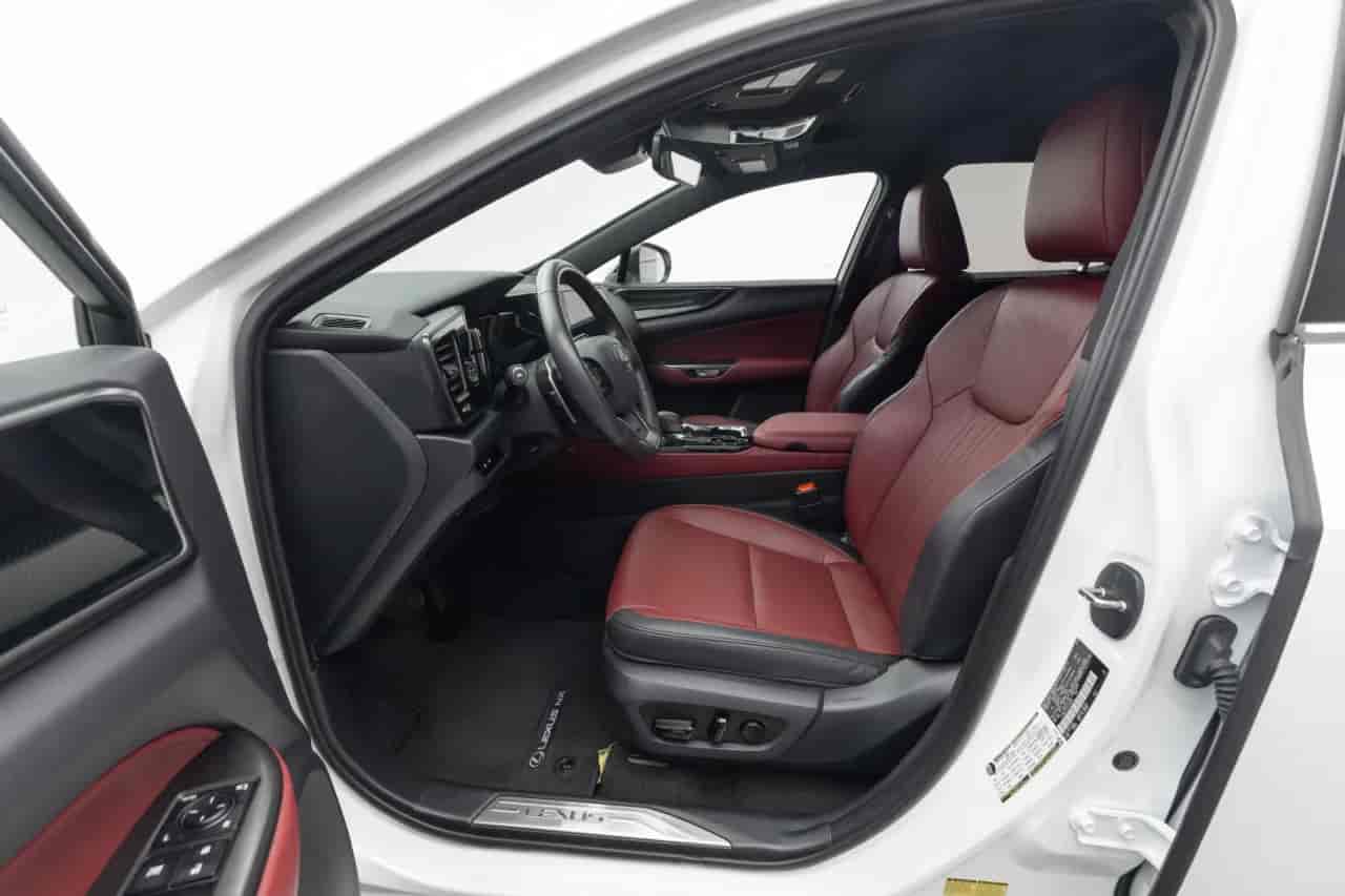 LEXUS NX - 10