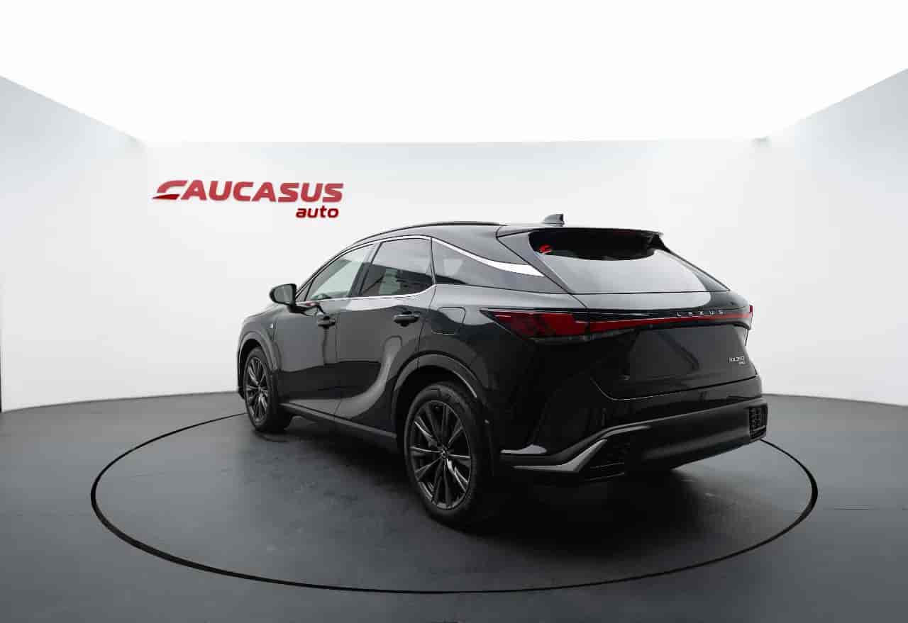 LEXUS RX - 6