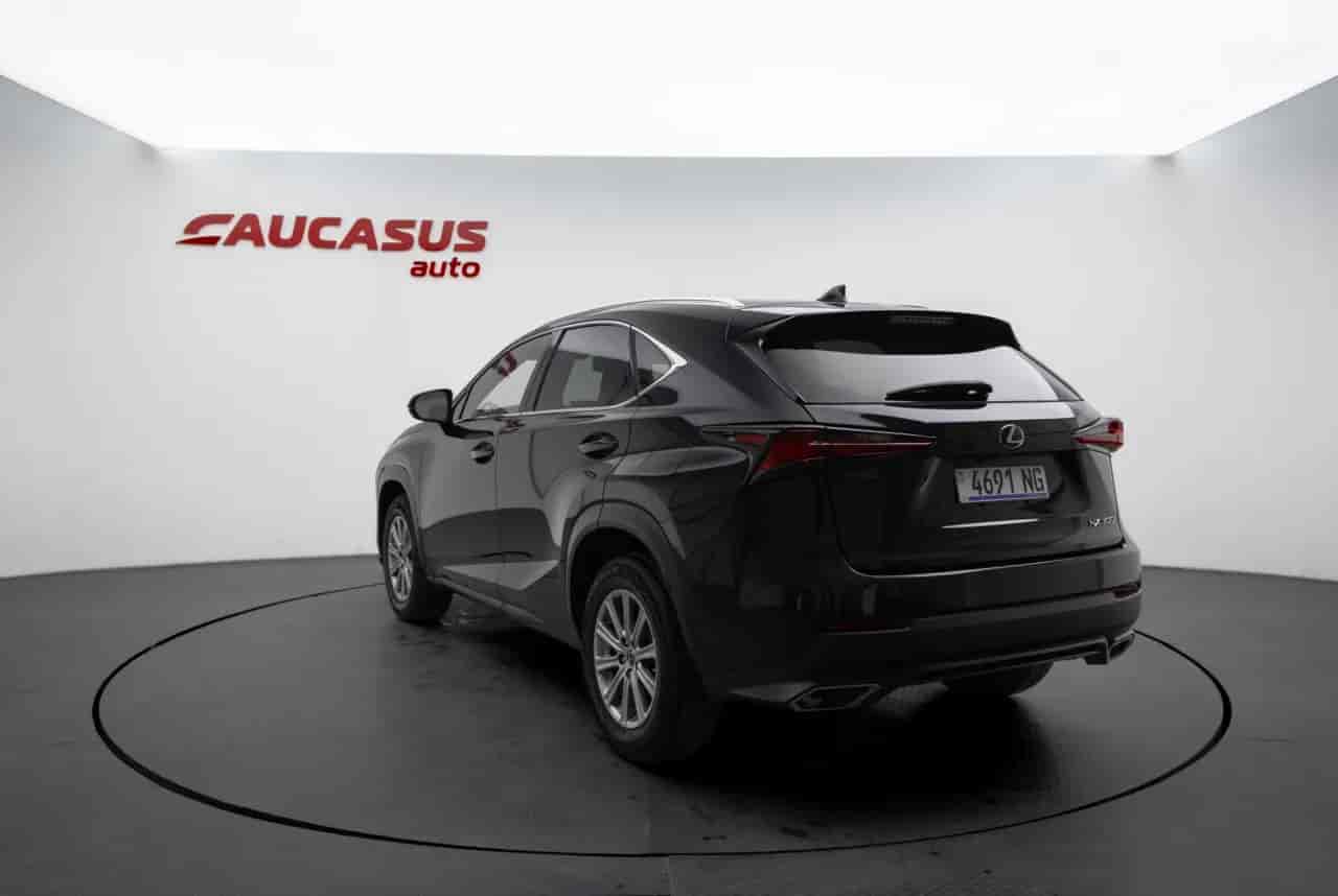 LEXUS NX - 6