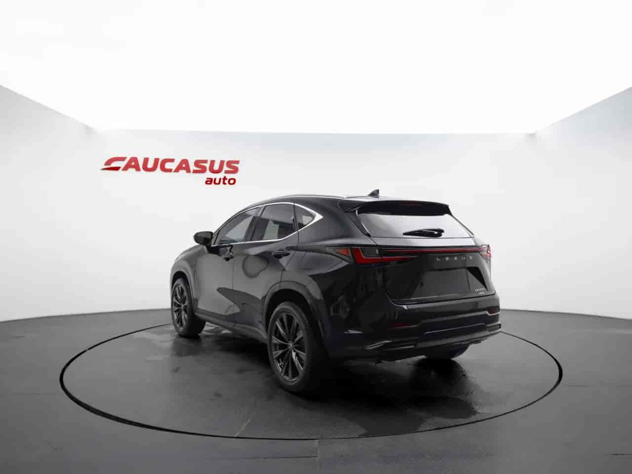 LEXUS NX - 6