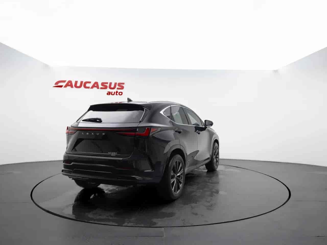 LEXUS NX - 4