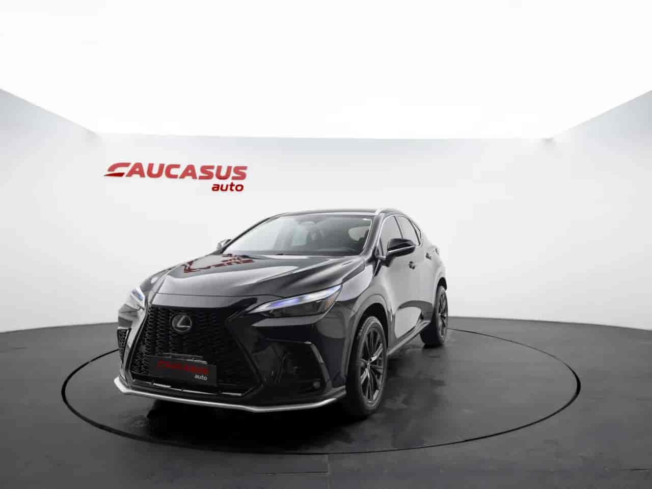 LEXUS NX - 1