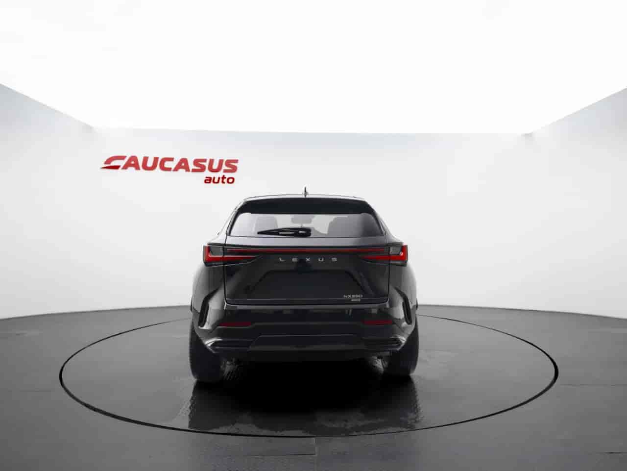 LEXUS NX - 5