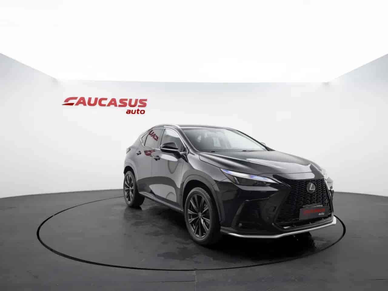LEXUS NX - 3