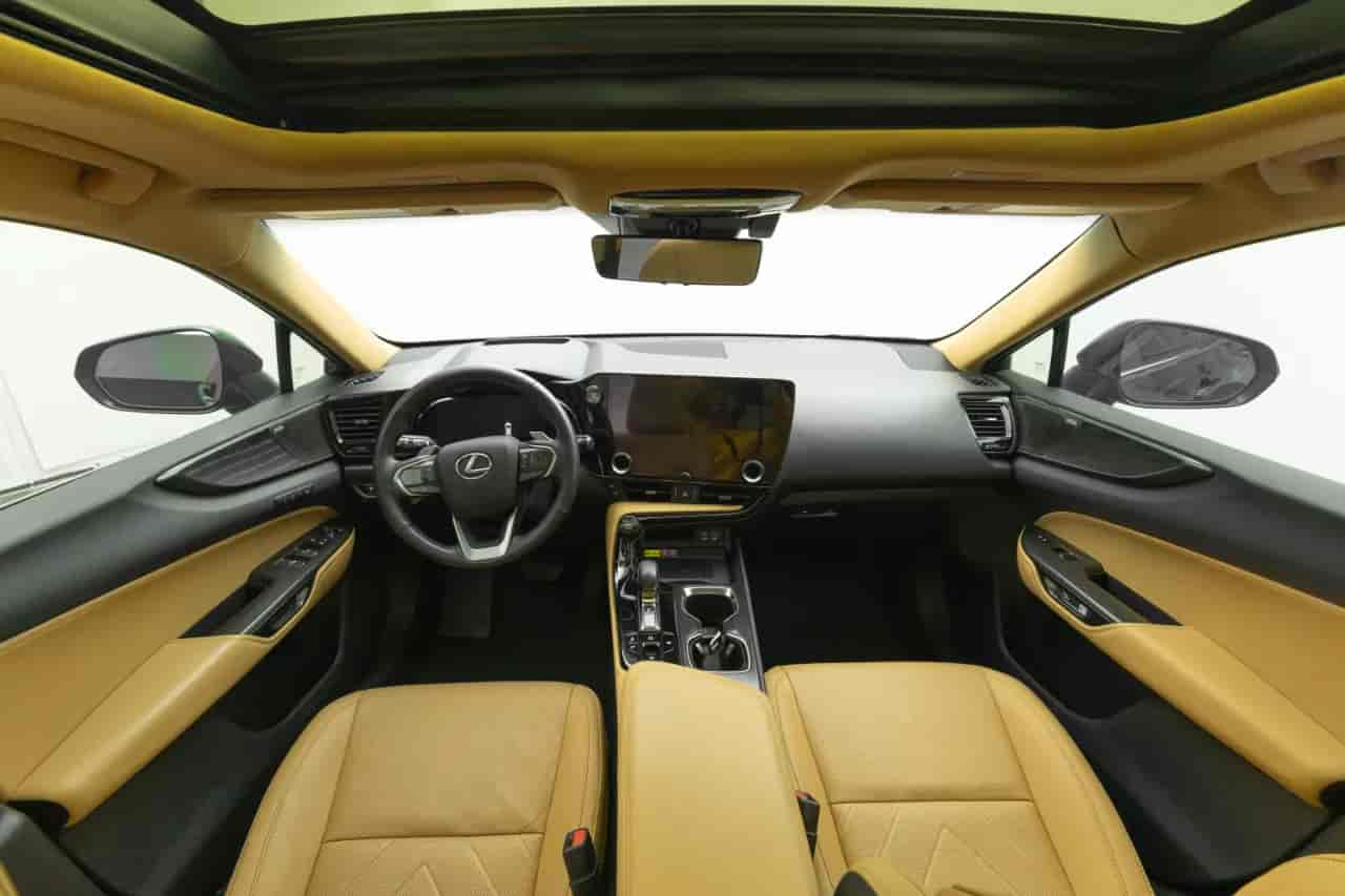 LEXUS NX - 10