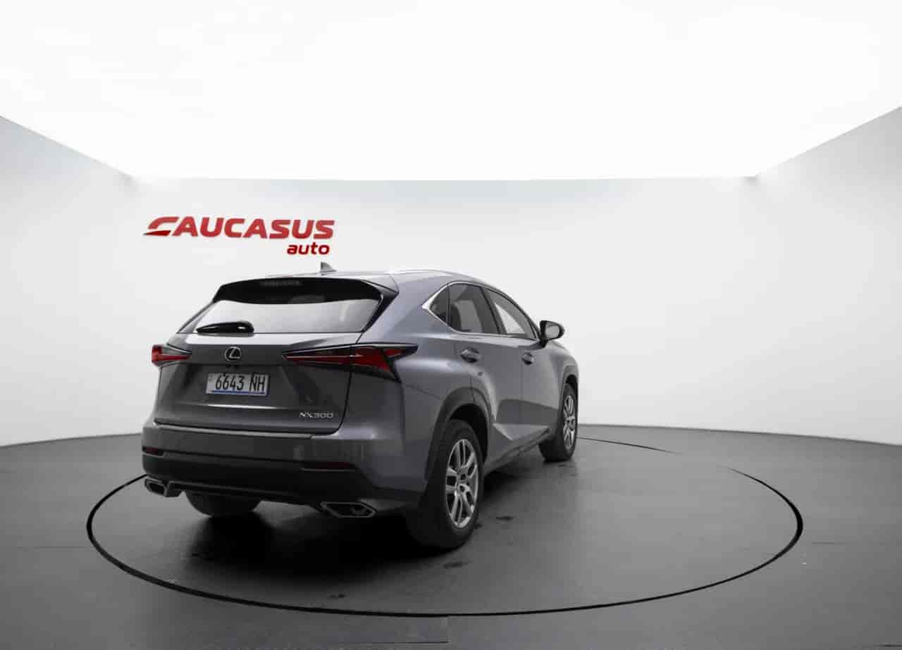 LEXUS NX - 4