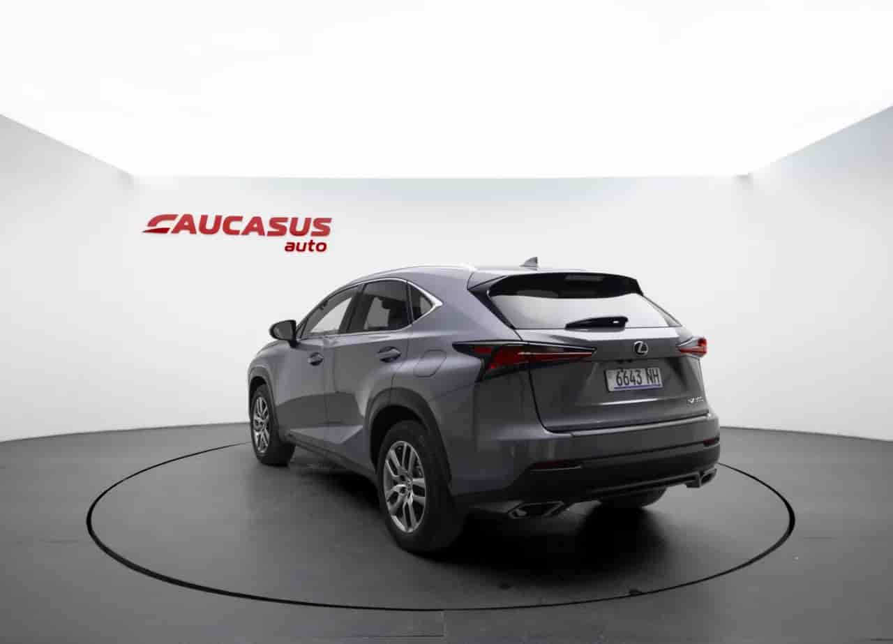 LEXUS NX - 6