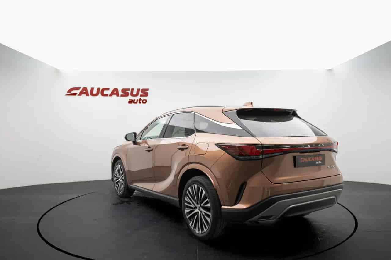LEXUS RX - 6