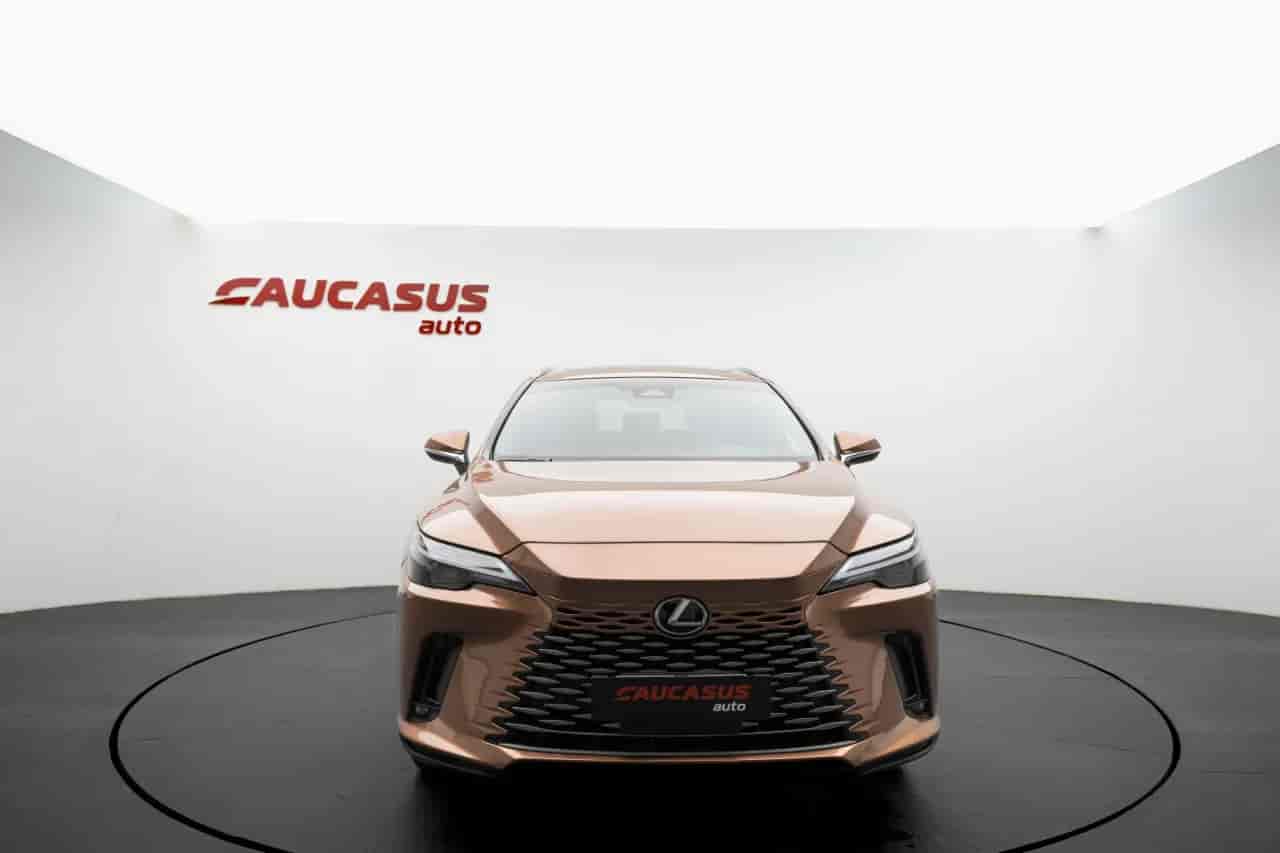 LEXUS RX - 2