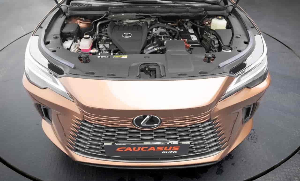 LEXUS RX - 8