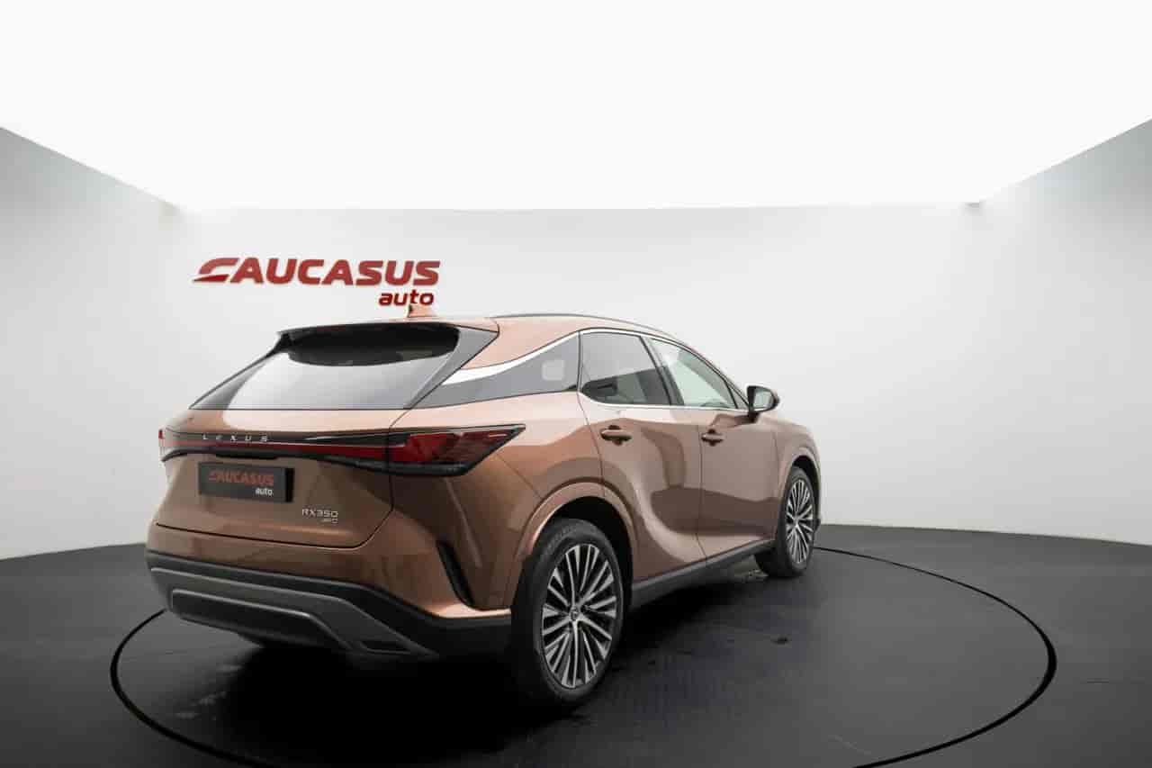 LEXUS RX - 4