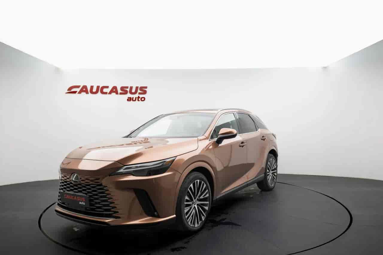 LEXUS RX - 1