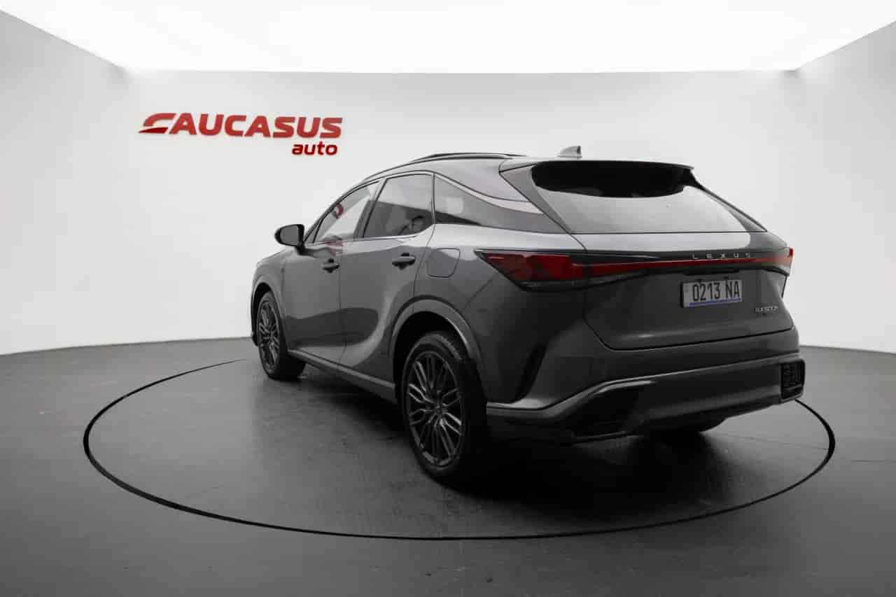 LEXUS RX - 6