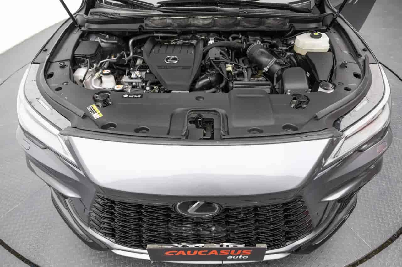 LEXUS RX - 10