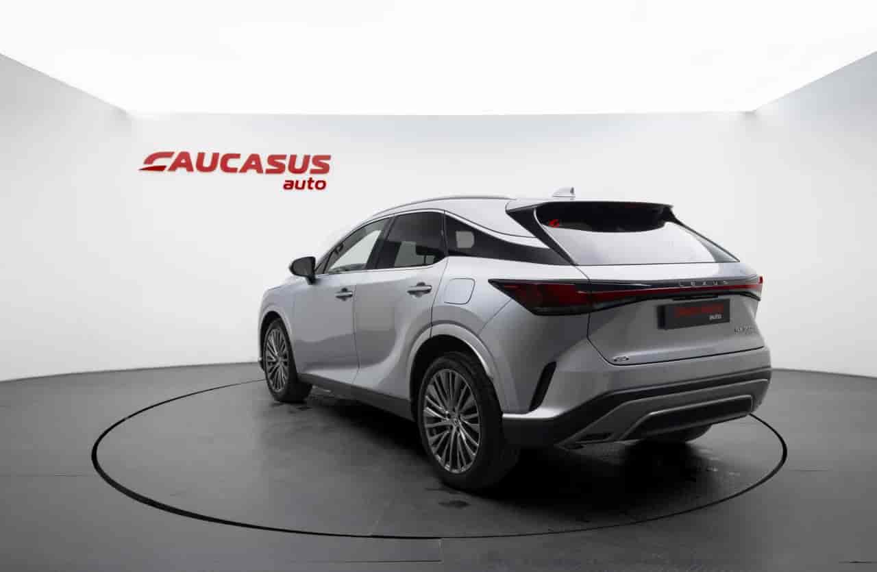 LEXUS RX - 6