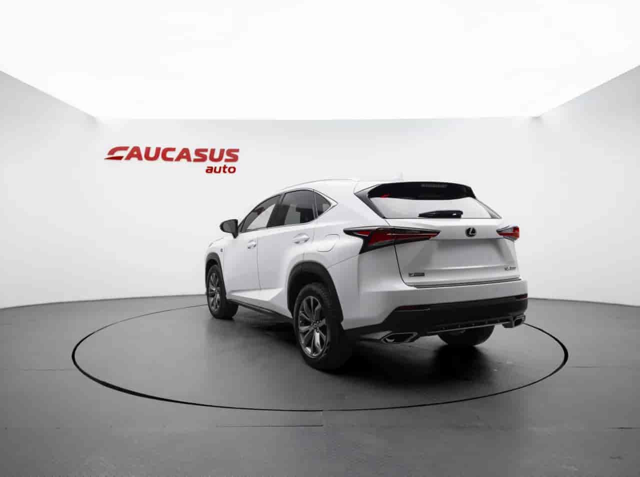 LEXUS NX - 6