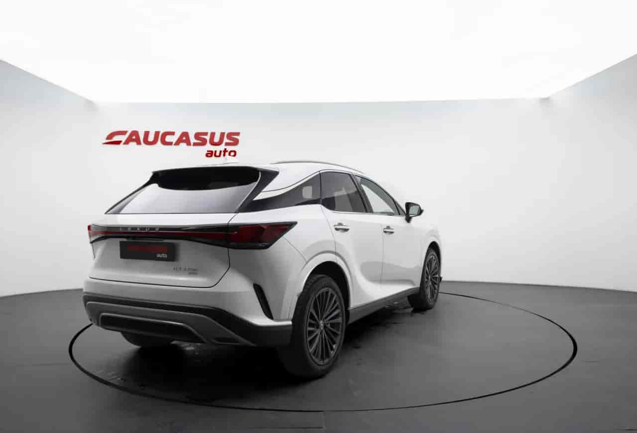 LEXUS RX - 4