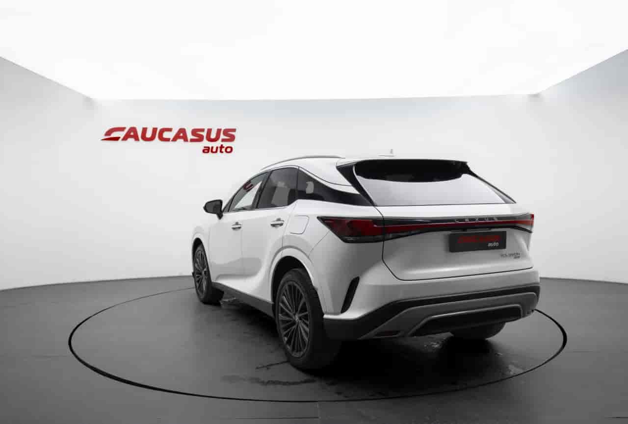 LEXUS RX - 6