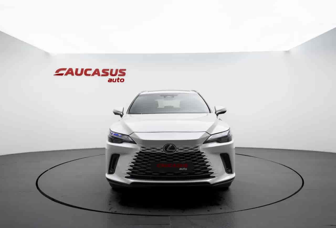 LEXUS RX - 2