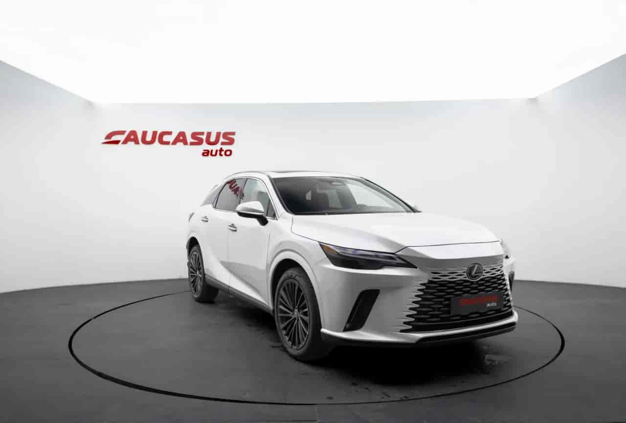 LEXUS RX - 3